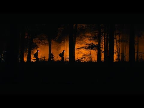 Made for America—STIHL
