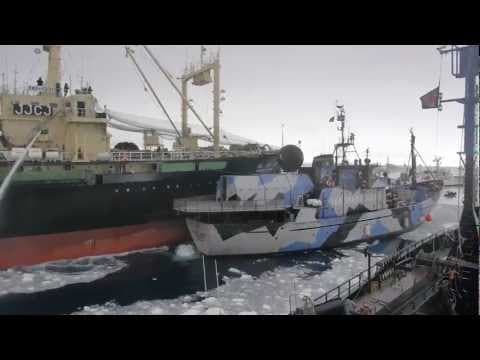 The Nisshin Maru rams the SSS Bob Barker, SSS Steve Irwin, and South Korean tanker Sun Laurel