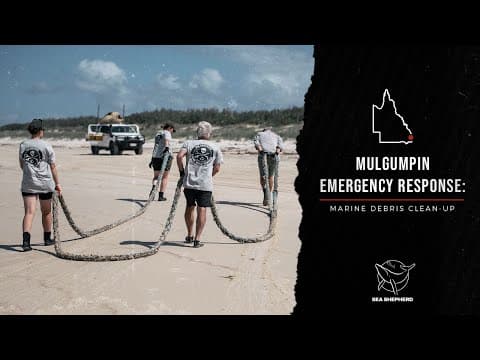 An update from our Mulgumpin Emergency Response: Marine Debris Clean-up