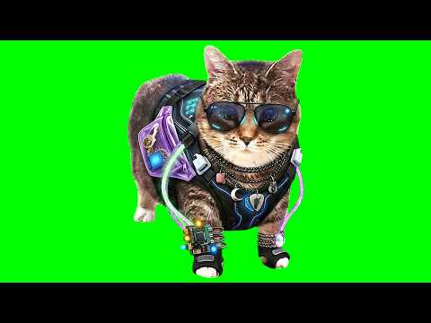OIIA OIIA HYPER (Spinning CAT)