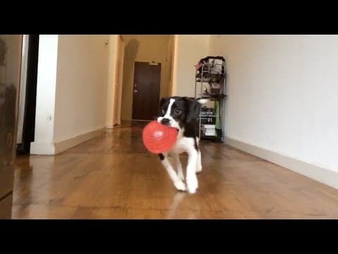 iPhone 5s: Slo-Mo Camera Test