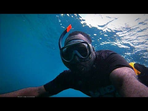 Spearfishing day with my uncle & cousins | Marovo Lagoon SI🇸🇧