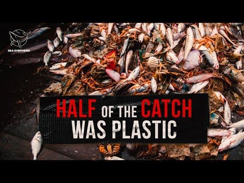 Shocking Discovery in Fishing Nets: Half of the Catch was Plastic Bags