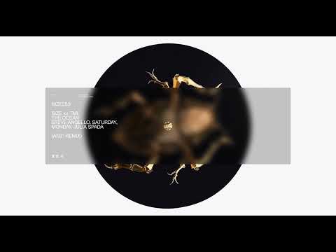 SIZE XX TML | Steve Angello, Saturday, Monday, Julia Spada - The Ocean (AN21 Remix) (Official Audio)