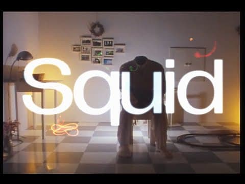 Squid - Crispy Skin