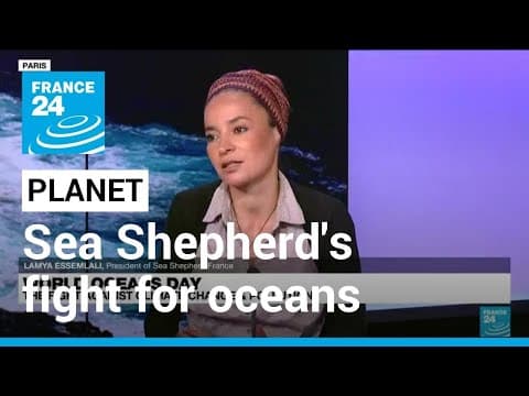 World Oceans Day 2022: The fight against climate change & pollution • FRANCE 24 English