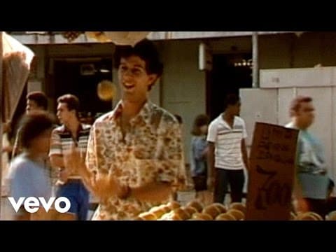 Os Paralamas Do Sucesso — A Novidade (Video Clip)