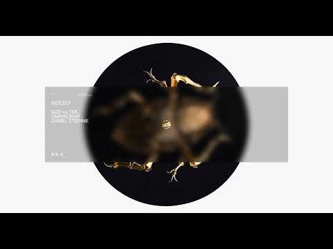 SIZE XX TML | Daniel Etienne - Omniscient (Official Audio)