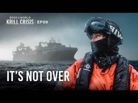 The Future of Antarctica Is Being Decided Now | Edge of the World: Krill Crisis | EP9