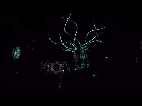 Dina and Shev DJ set filmed by an attendee