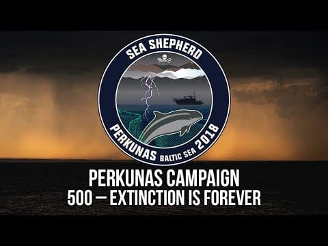 Perkunas Campaign: 500 - Extinction is Forever