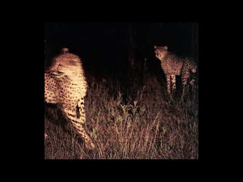 Bert Dockx - Big Dreams (audio)