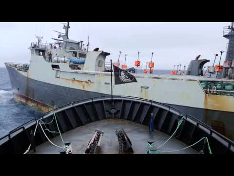 Dramatic Footage of Near Collision In High Seas Battle With Notorious Poaching Vessel