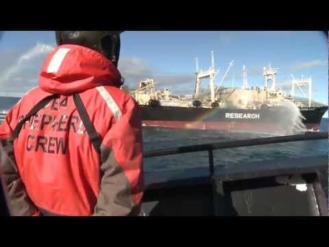 Bob Barker Encounter with Yushin Maru 2 Attempting to Transfer Poached Whale to Nisshin Maru