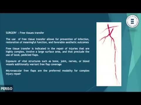 ICDT - Diamagnetotherapy as a buster in the treatment of serious limb injuries - Pietro…