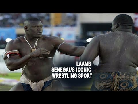 Senegal’s Traditional Wrestling - Where Culture and Strength Collide