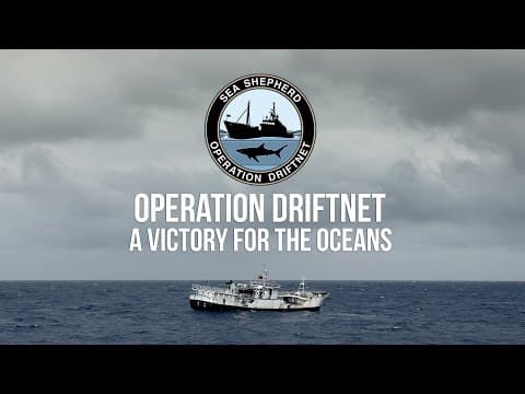 Operation Driftnet: Sea Shepherd Shuts Down Entire Illegal Fishing Fleet