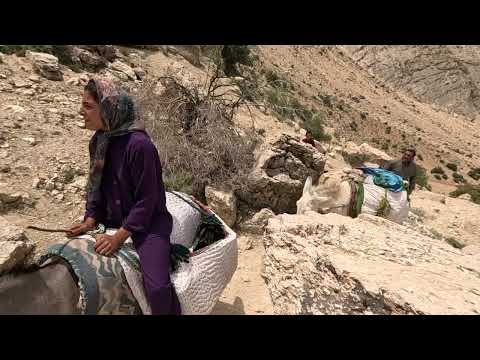 کوچ عشایری به دلیل گرمای هوا به اقلیم سردتر:زندگی عشایری در ایران (2 of 2)
