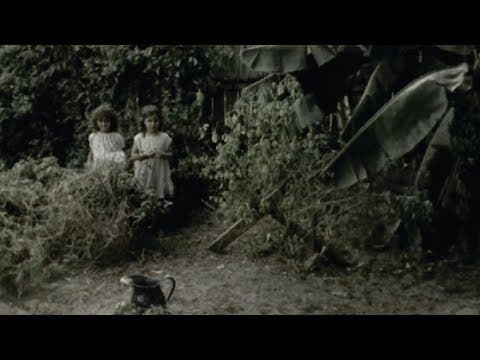 Iron & Wine - Southern Anthem