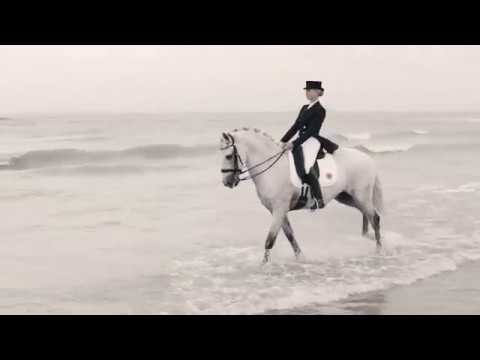 Hermès Arpège - Dressage saddle, extra-deep seat