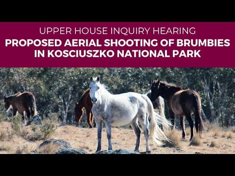 Public hearing - Proposed aerial shooting of brumbies Kosciuszko National Park - 18 December 2023