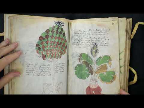 Coffee with a codex: a Voynich facsimile