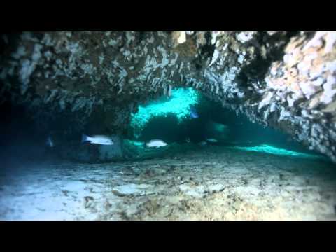 Extreme Cave Divers Explore Hidden Caves Expedition