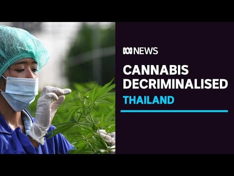 Thailand Removes Cannabis From Its Narcotics List