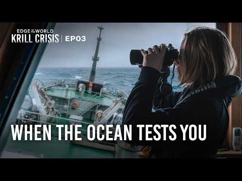 Crossing Cape Horn was a Crazy Challenge | Edge of the World: Krill Crisis | EP3
