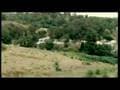 Albert Hammond - 101
