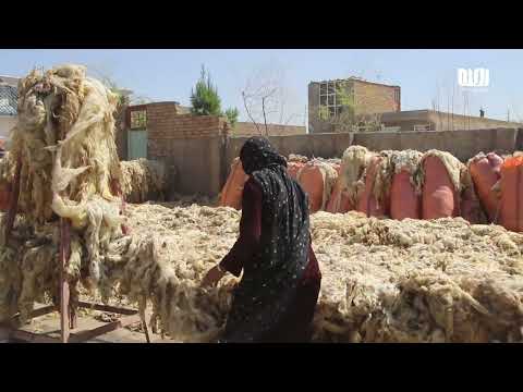 چگونگی تولید نخ از پشم گوسفند