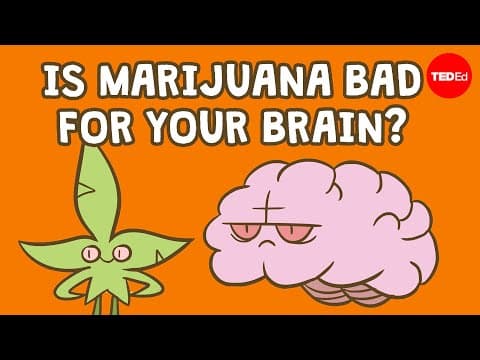 TED-Ed: is marijuana bad for your brain?
