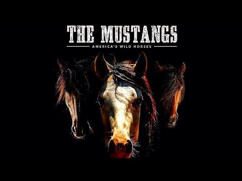 Echoes of the Plains: The Saga of America's Wild Mustangs