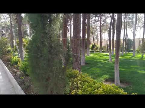 نمایی زیبا از طبیعت باغ چهل ستون اصفهان