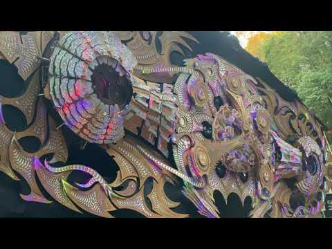 Forty-four clips across three stages
