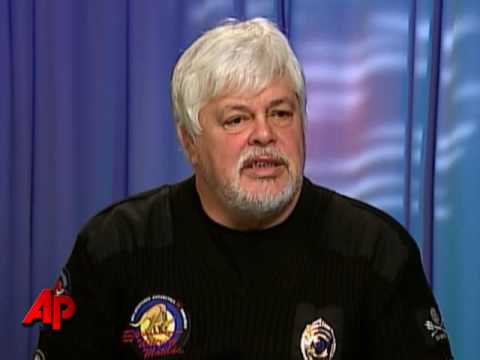 'Whale Wars' Sails Into 3rd Season
