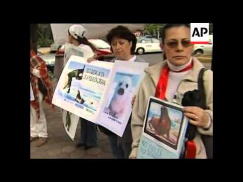 Protest against seal hunting outside Canadian embassy