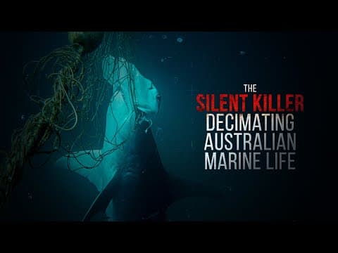 The Silent Killer Decimating Australian Marine Life