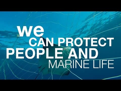 Thank you for your support for the Great Barrier Reef