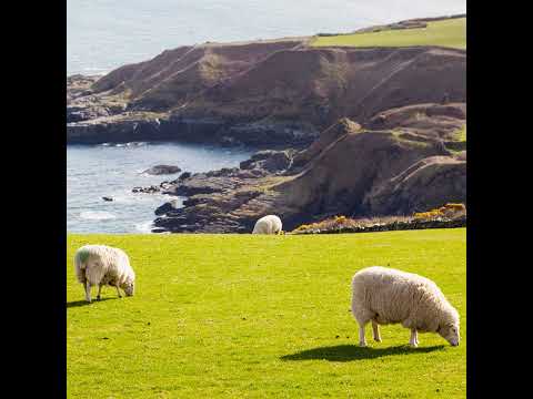 COUNTRYSIDE 10 FEBRUARY 2026