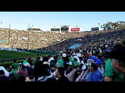 Mexico 1986 — the sombrero crowds