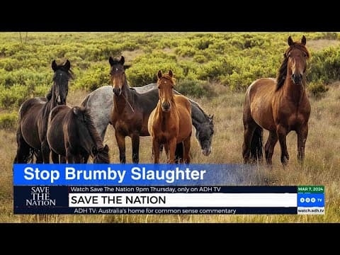 The Brutal Truth Behind the Brumby Culling