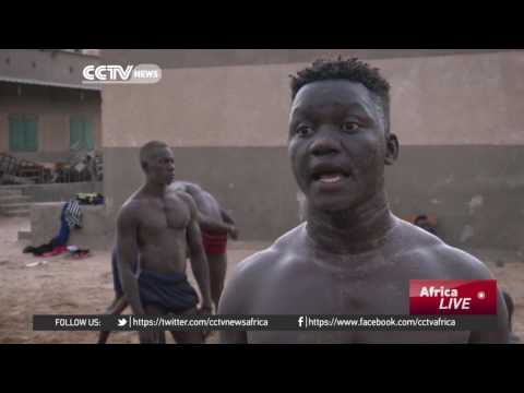 Many young men in Senegal seek fame and fortune through combat sport