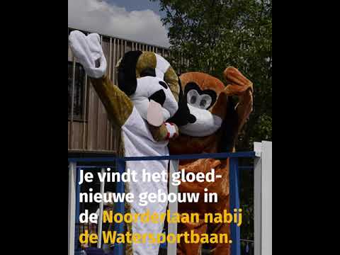 Gent heeft een gloednieuw dierenasiel