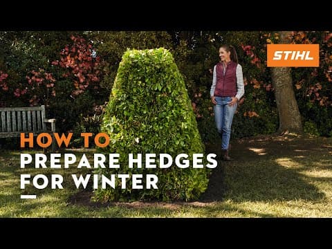 How to prepare hedges for winter | STIHL