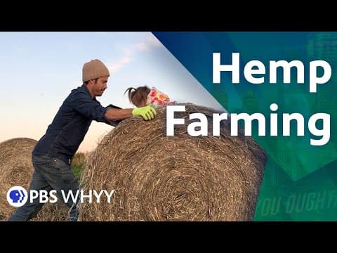Hemp Farming Returns to Pennsylvania