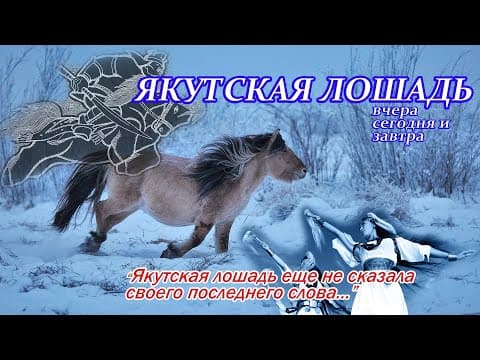 Якутская лошадь: вчера, сегодня и завтра - к 100-летию образования ЯАССР - (выпуск 1)