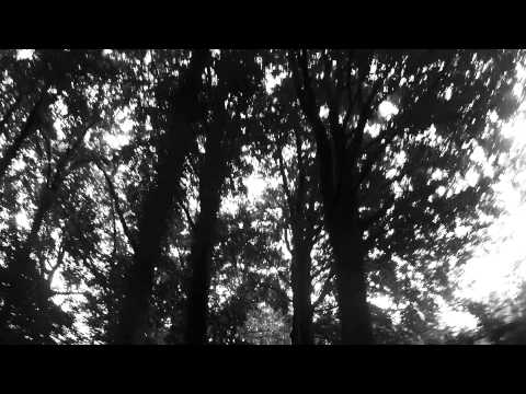 Trixie Whitley - "Breathe You In My Dreams" (Anton Coene Clip)