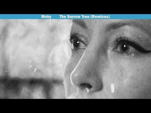 Moby - The Sorrow Tree feat. Julie Mintz (4 a.m Mulholland Drive Remix)