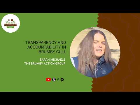 Transparency and accountability in Brumby Cull with Sarah Michaels on The Country Telegraph.